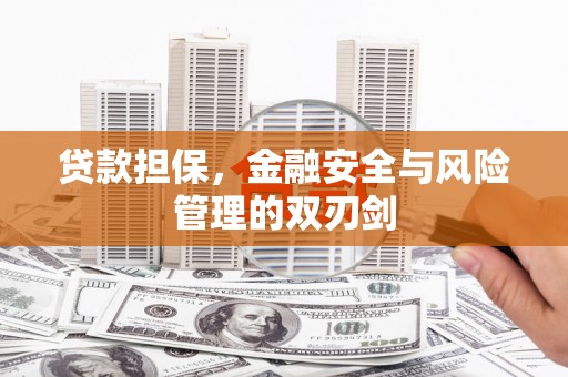 禄丰贷款担保，金融安全与风险管理的双刃剑