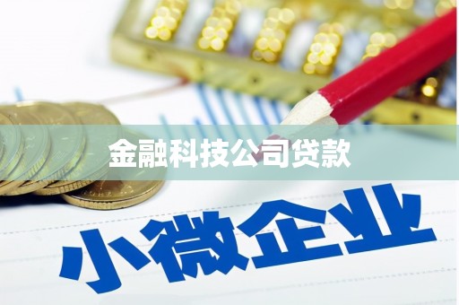 禄丰金融科技公司贷款