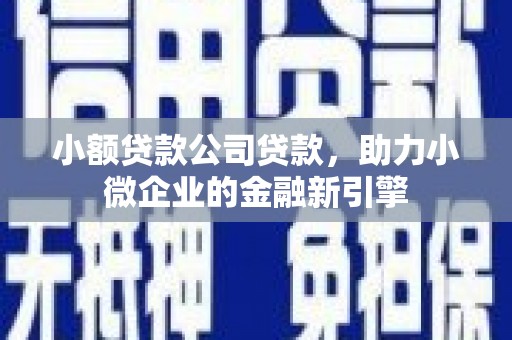 禄丰小额贷款公司贷款，助力小微企业的金融新引擎