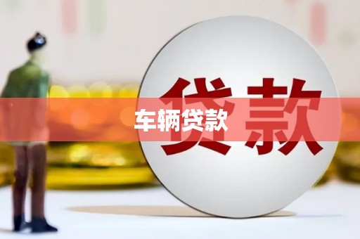 禄丰车辆贷款