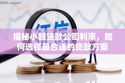 禄丰揭秘小额贷款公司利率，如何选择最合适的贷款方案