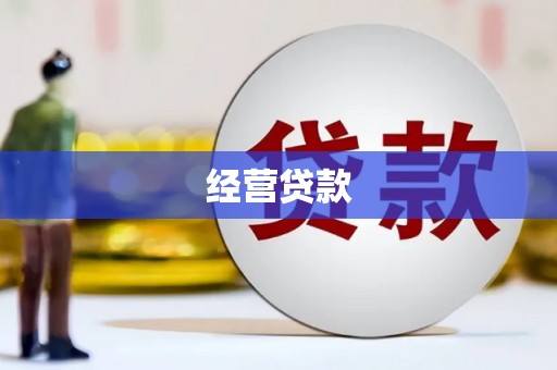 禄丰经营贷款