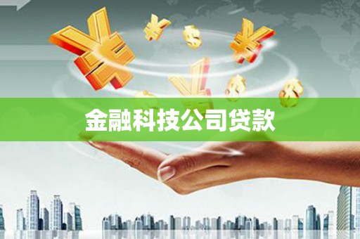 禄丰金融科技公司贷款
