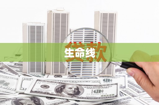 禄丰生命线