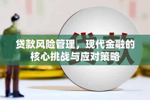 禄丰贷款风险管理，现代金融的核心挑战与应对策略