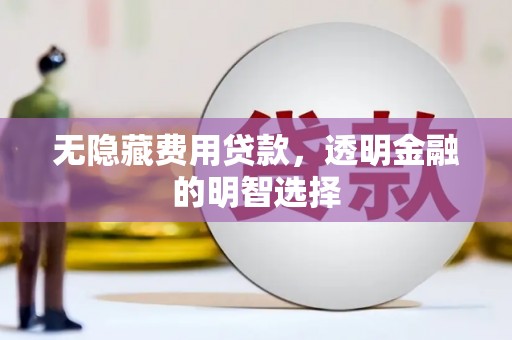 禄丰无隐藏费用贷款，透明金融的明智选择
