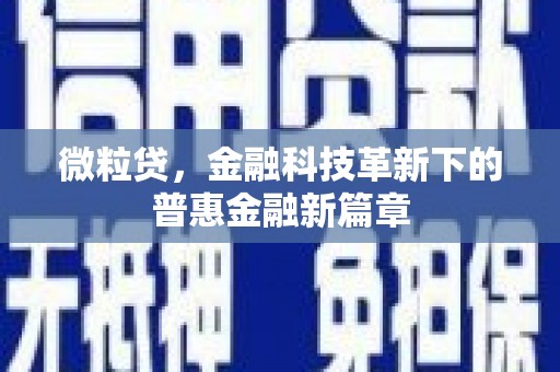 禄丰微粒贷，金融科技革新下的普惠金融新篇章
