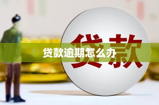 禄丰贷款逾期怎么办