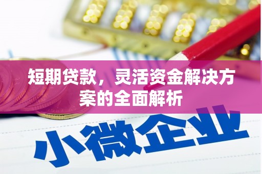禄丰短期贷款，灵活资金解决方案的全面解析