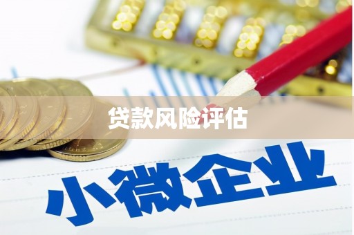 禄丰贷款风险评估