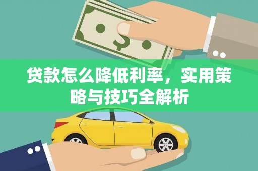 禄丰贷款怎么降低利率，实用策略与技巧全解析