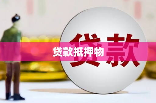 禄丰贷款抵押物