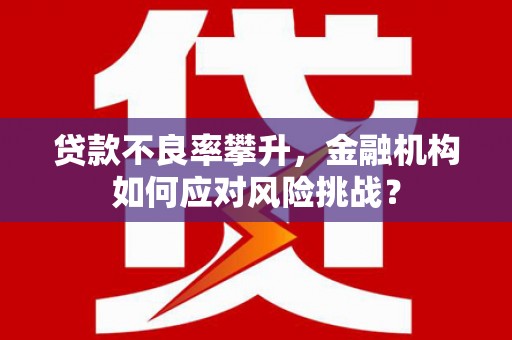 禄丰贷款不良率攀升，金融机构如何应对风险挑战？