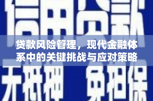 禄丰贷款风险管理，现代金融体系中的关键挑战与应对策略