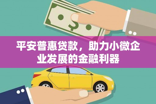 禄丰平安普惠贷款，助力小微企业发展的金融利器