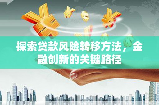 禄丰探索贷款风险转移方法，金融创新的关键路径