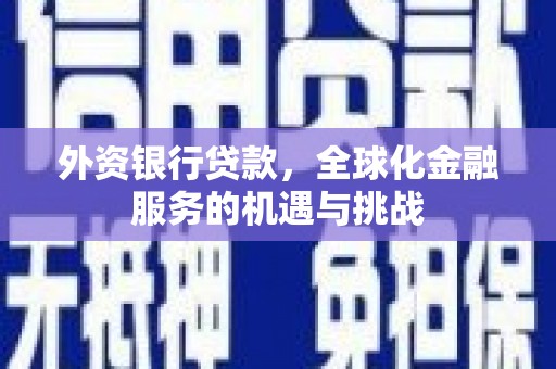 禄丰外资银行贷款，全球化金融服务的机遇与挑战