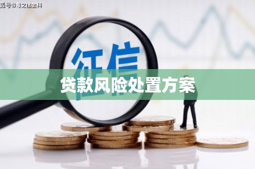 禄丰贷款风险处置方案