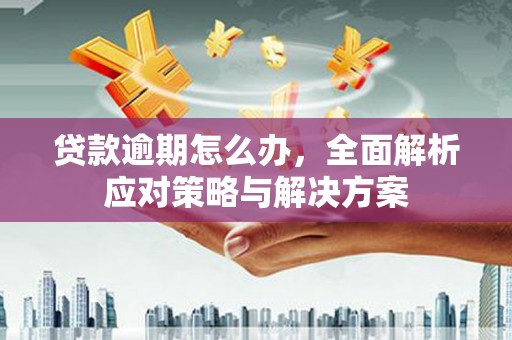 禄丰贷款逾期怎么办，全面解析应对策略与解决方案