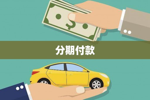 禄丰分期付款
