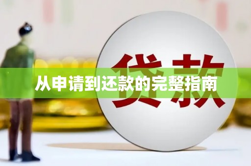 禄丰从申请到还款的完整指南
