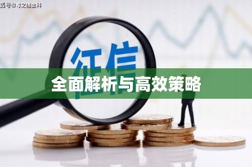 禄丰全面解析与高效策略