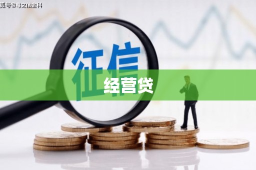 禄丰经营贷