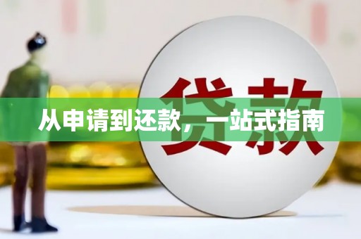 禄丰从申请到还款，一站式指南
