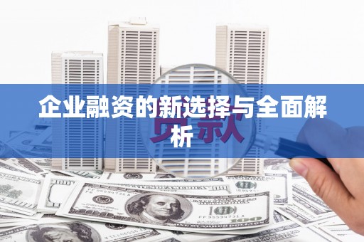 禄丰企业融资的新选择与全面解析