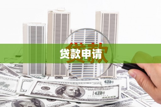 禄丰贷款申请
