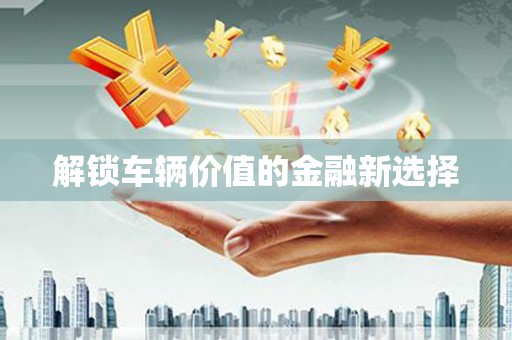 禄丰解锁车辆价值的金融新选择