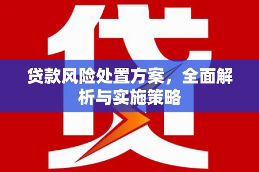禄丰贷款风险处置方案，全面解析与实施策略