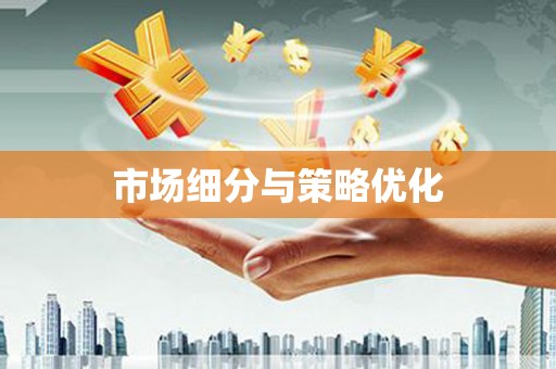 禄丰市场细分与策略优化