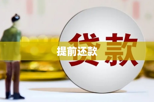禄丰提前还款