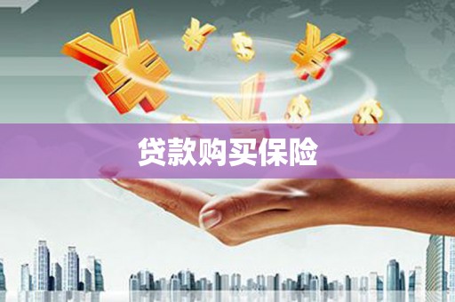 禄丰贷款购买保险