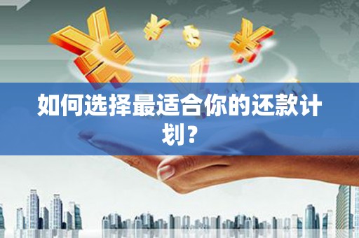 禄丰如何选择最适合你的还款计划？