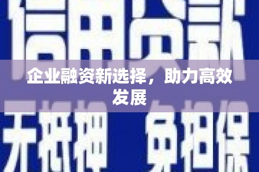 禄丰企业融资新选择，助力高效发展