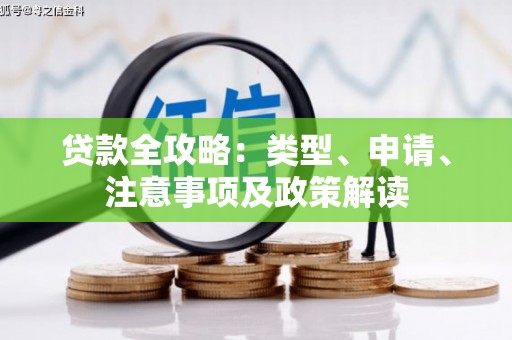 禄丰贷款全攻略：类型、申请、注意事项及政策解读