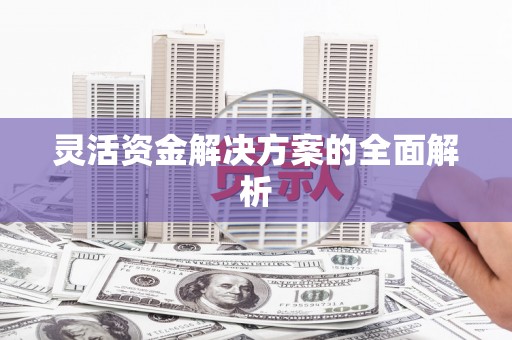 禄丰灵活资金解决方案的全面解析