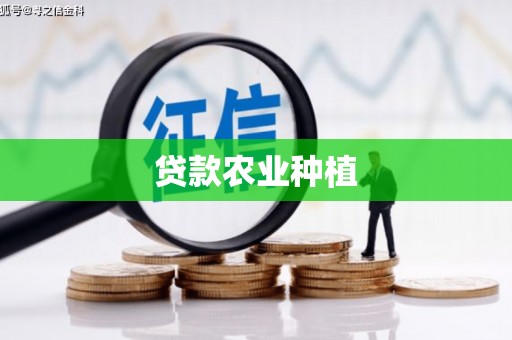 禄丰贷款农业种植