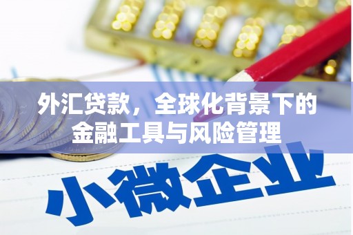 禄丰外汇贷款，全球化背景下的金融工具与风险管理