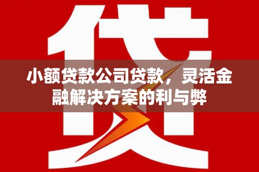禄丰小额贷款公司贷款，灵活金融解决方案的利与弊