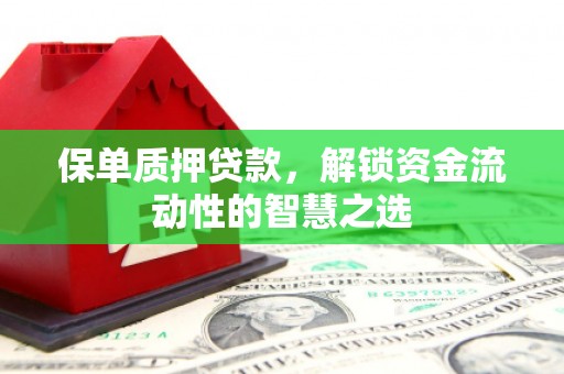 禄丰保单质押贷款，解锁资金流动性的智慧之选