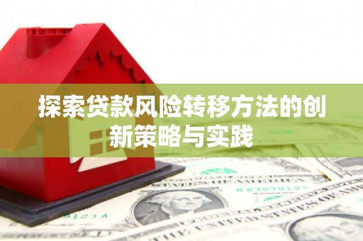 禄丰探索贷款风险转移方法的创新策略与实践