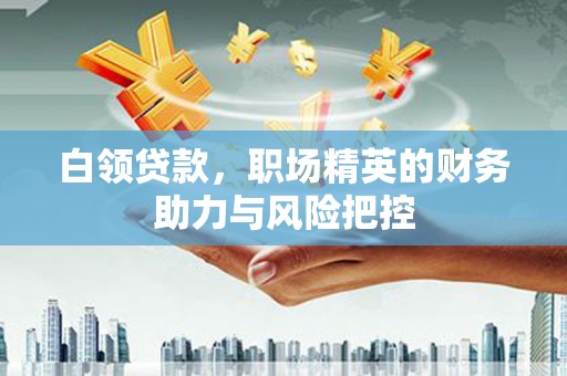 禄丰白领贷款，职场精英的财务助力与风险把控