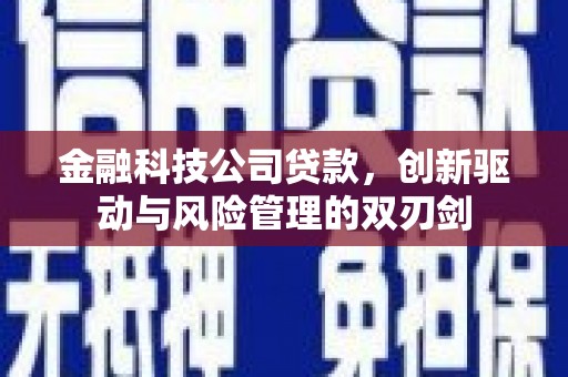 禄丰金融科技公司贷款，创新驱动与风险管理的双刃剑
